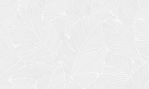 Screenshot_3821