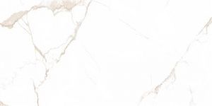 -1x-1x80_1669024040459