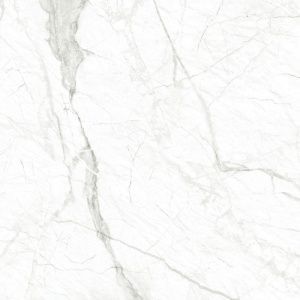 26497_full