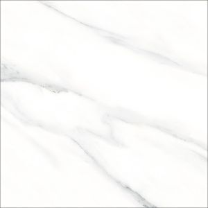gaqgm8zwsplwub1dneobfobgenritznm