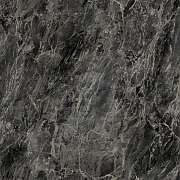 c_ssl_00011758_1