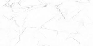 Без названия (11)