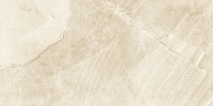 Screenshot_1583