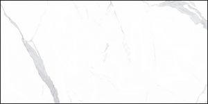 13b730097ed1b4d9c28a7bc815491605