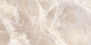 Screenshot_1482