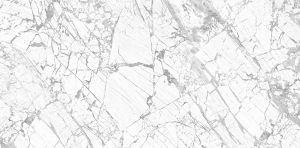 Screenshot_1556