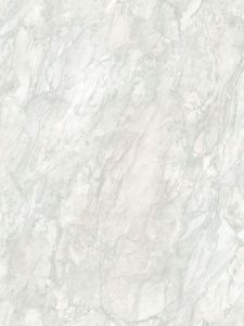24793026-1
