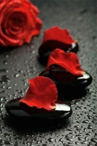 cbm5hK0iohOCtFSVZZafxHB56cWD05npUNylC02cdWesjzM7CJq1zPrG5mc5CQOlFcJo_AFBCcpuX9c3DXwt1HEz