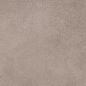 AGT_GGC093