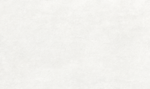 Screenshot_3809