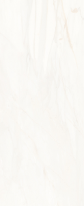 Screenshot_3848