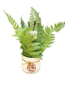 v8_22B7_1a