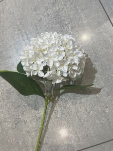 v8_5458_18