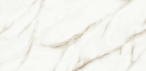 Screenshot_445
